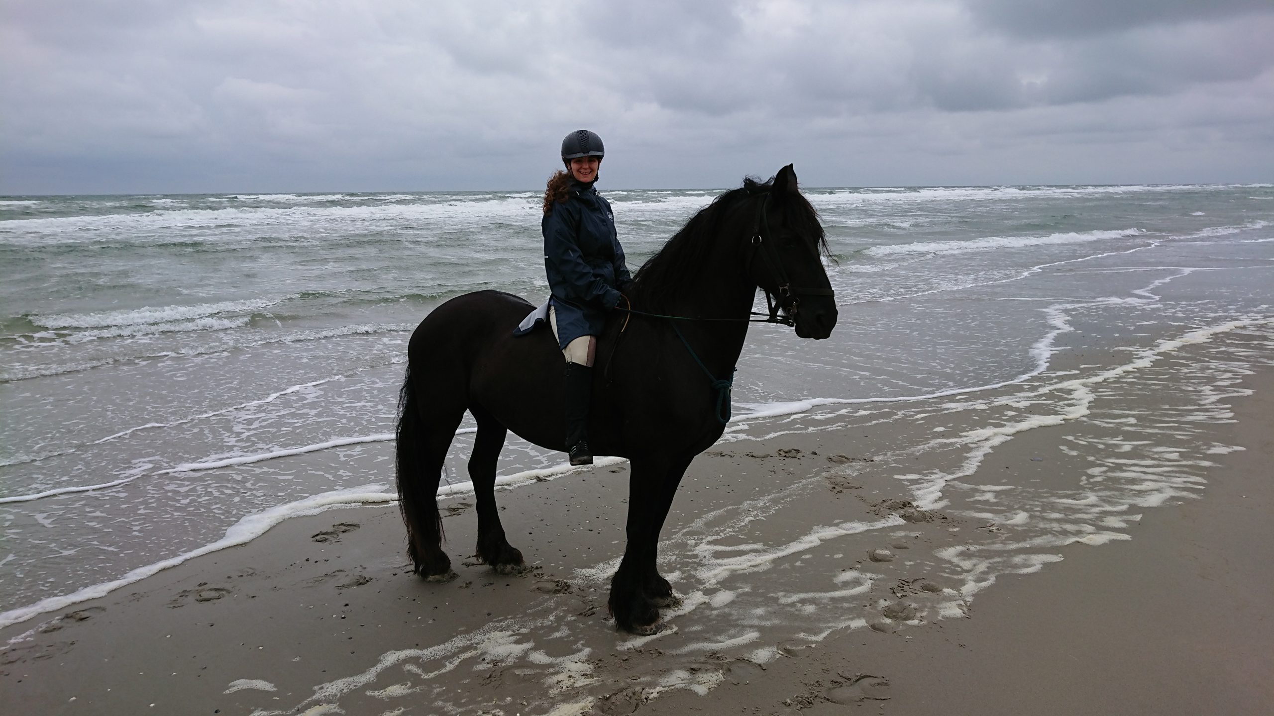 Startseite Puur Terschelling