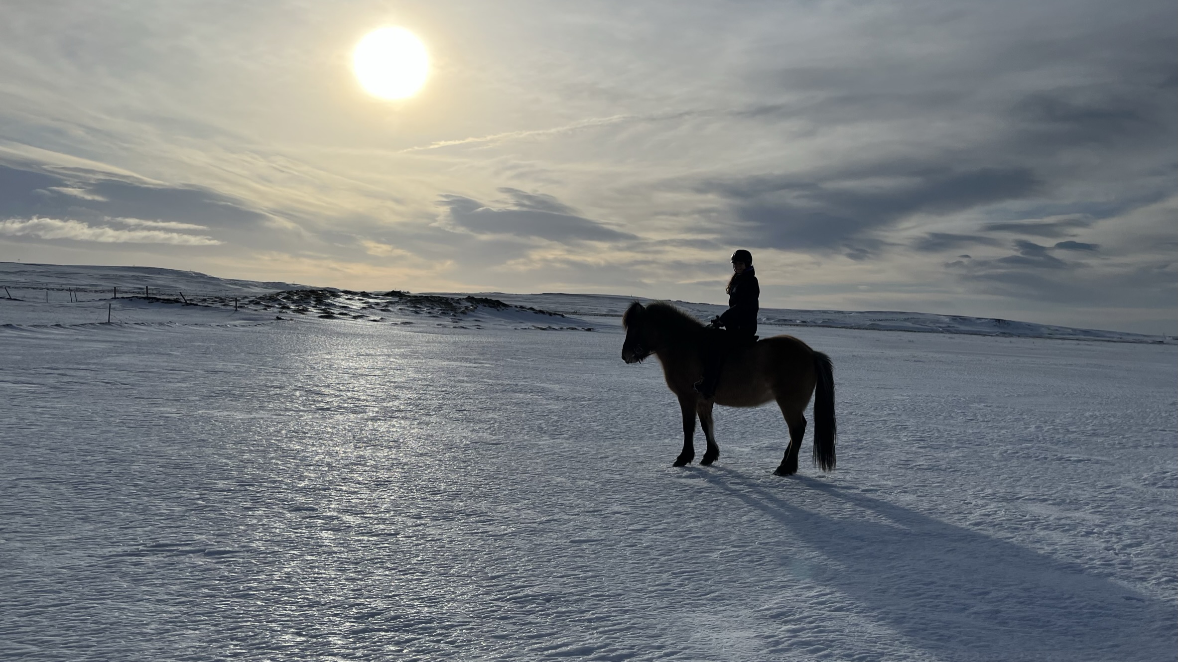 Startseite Ausritt mit einem Islandpferd über die Schneelandschaft mit der tiefstehenden Sonne