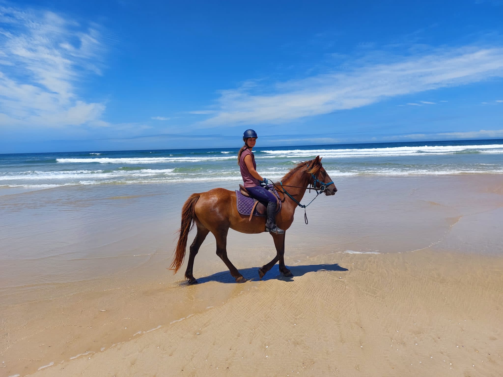 Startseite Beachcomber Horse Trails 7 Tage Sand und Safari