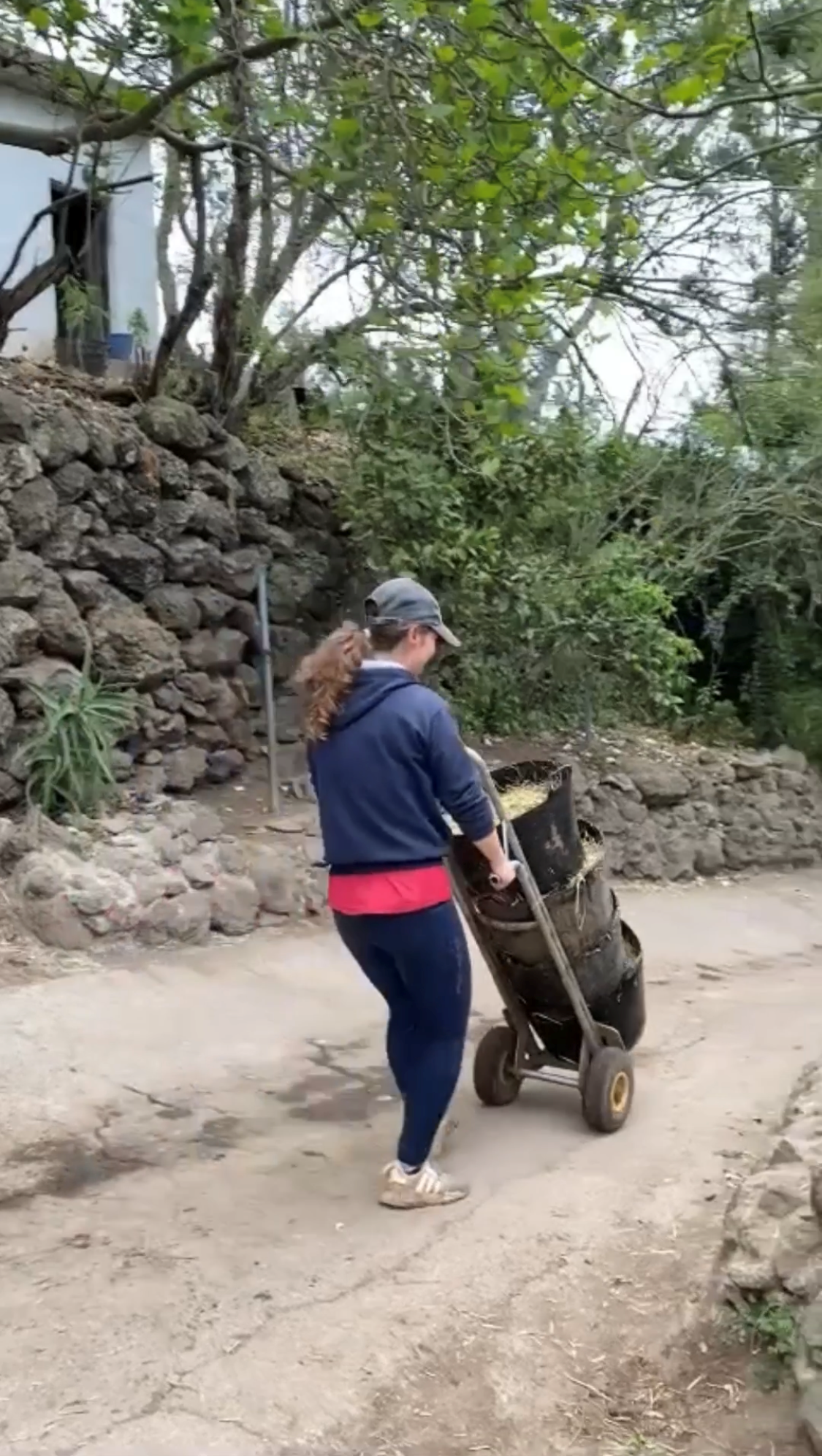 Startseite Spanien Teneriffa Finca Estrella