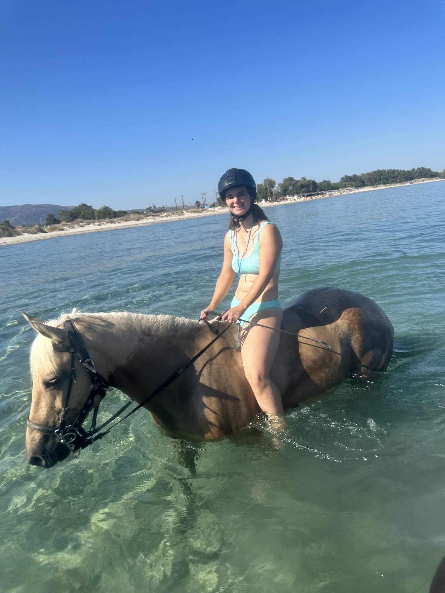 Startseite Erikas Horse Farm